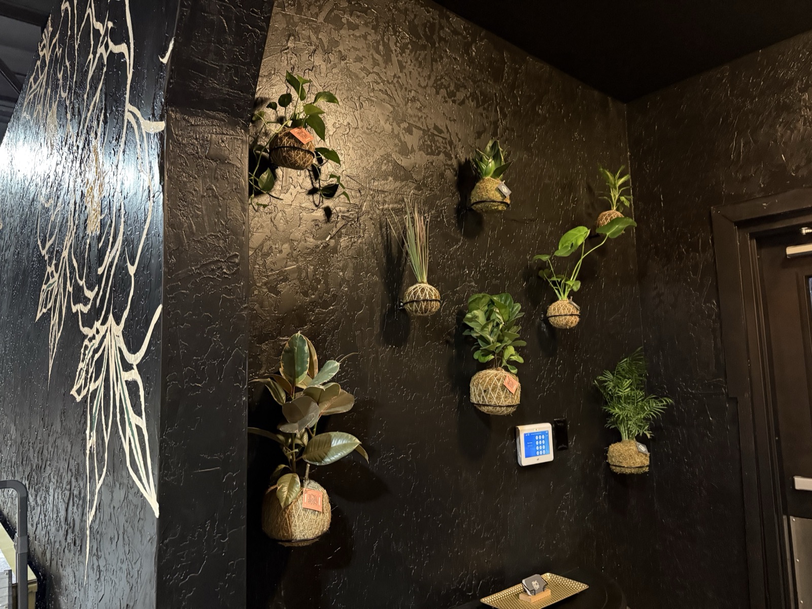 A wall of living kokedama plants at Iconic Event Center